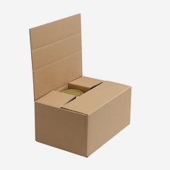 Verpackungskarton für 6x Vit-540, Fac-575