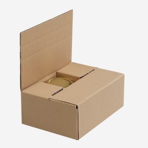 Verpackungskarton für 6x Fac-125, L197xB135xH66mm