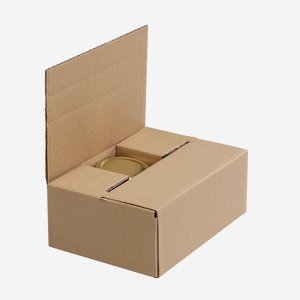 Verpackungskarton für 6x Stur-229