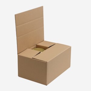 Verpackungskarton für 6x Vit-540, Fac-575
