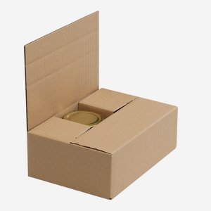 Verpackungskarton für 6x Stur-225, L266xB181xH66mm