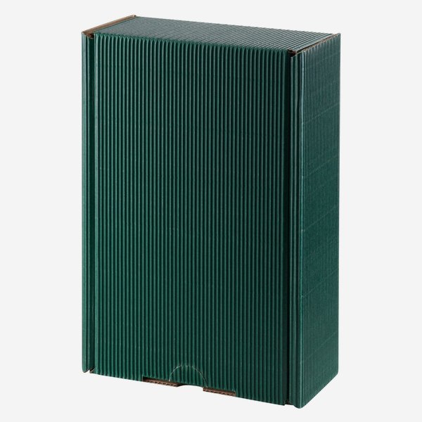 Geschenkkarton Außenwelle, grün, 255/150/80