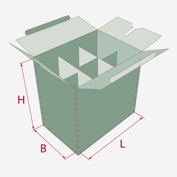 Verpackungskarton für 6 Flaschen Dor-500